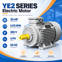 Moteur asynchrone triphasé BIOTE 2980 tr/min à large plage de puissance, de 1 CV à 100 CV, pour mélangeurs, souffleurs et machines industrielles
