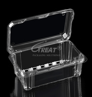 Wegwerp Food Grade Clamshell Scharnierende Container Aardbei Fruit Box Duurzame Afhaalmaaltijden Verpakking In De Uitverkoop