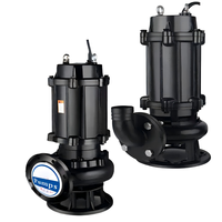 Pompe submersible électrique haute pression pour eaux usées, centrifuge en acier inoxydable, 220V/380V, 0,1-10 L/min, 5,5kW, 0,1-10 Bar, automobile