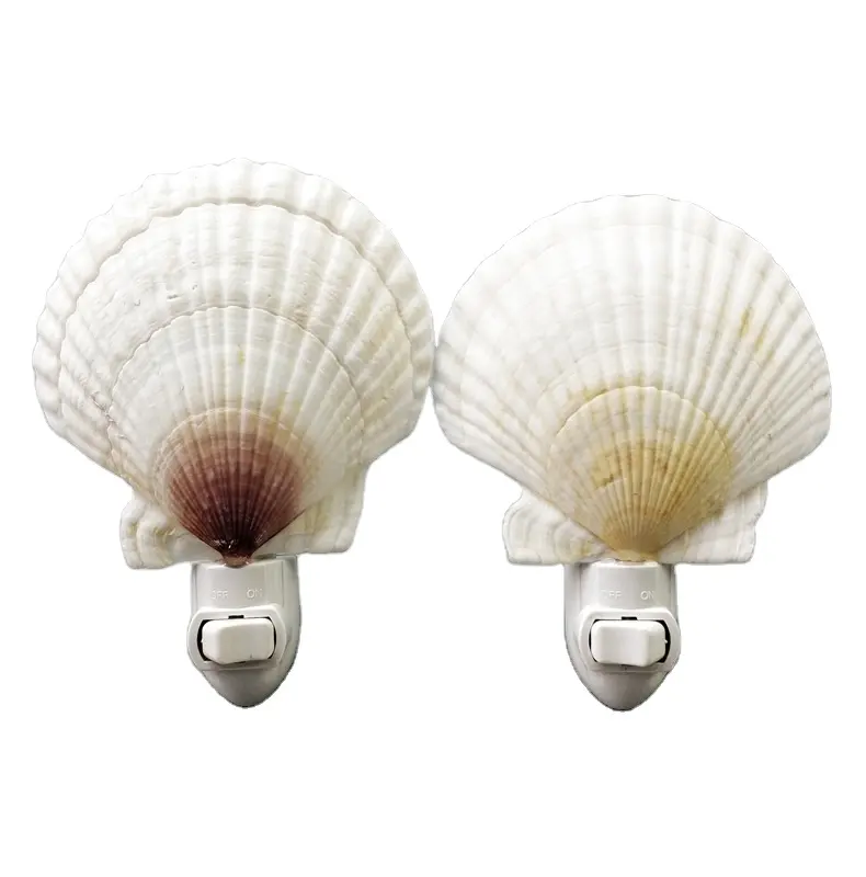 Criativo Nórdico Decorativo Natural Caracol Do Mar Bonito Shell Lâmpada De Luz Da Noite Para A Decoração De Casa Quarto