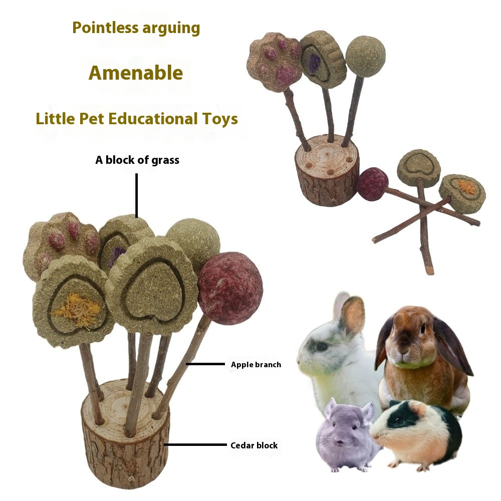 Blocs d'herbe de dentition SA00678-Mixed