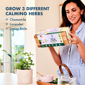 Kit Decorativo <span class=keywords><strong>Fai</strong></span>-<span class=keywords><strong>da</strong></span>-<span class=keywords><strong>te</strong></span> per Coltivazione a Parete Organica, Kit per Coltivazione di Tè, Vaso per Fiori di Design, Fibra Vegetale per Piante <span class=keywords><strong>da</strong></span> Interno - Product Image 3