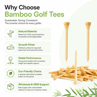 Tees de golf en bois professionnels en gros, personnalisables avec votre logo, pochette pour tees de golf, tees de golf en bambou écologiques avec emballage