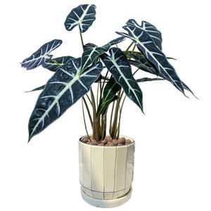 Tanaman Hijau Buatan KH Outdoor Custom ft, Daun Sea <span class=keywords><strong>Taro</strong></span> Palsu untuk Dekorasi Rumah dan Hotel - Product Image 4