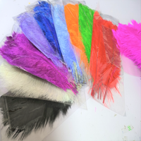 Plumes d'autruche en gros de 20-25 cm, plumes d'autruche pour la famille, les mariages, les fêtes, le bricolage et la confection artisanale