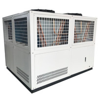 Machine de refroidissement Mgreenbelt 5 tonnes/10 tonnes/15 tonnes/20 tonnes/25 tonnes/30 tonnes/35 tonnes Refroidisseur pour l'industrie plastique refroidi par air et eau