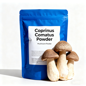 ผงสกัดเห็ดคอปรินัสธรรมชาติแบบกำหนดเอง 100 กรัม/ถุง ผงเห็ดคอปรินัส โคมาตัส - Product Image 1