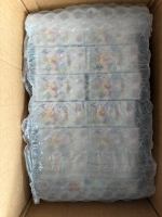 Boîte de boosters de collection Pokémon TCG japonais SV8a Terastal Festival Ex Eevee en papier (AE) – Marque Pokémon