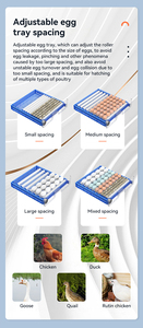 Hoàn toàn tự động 12V 220V 110V Gia cầm Gà trứng nhỏ lồng ấp và nở tự động nở máy để bán - Product Image 6