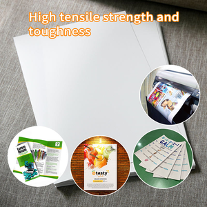 Papel PP Mate de Doble Cara Resistente al Agua QUANXIN, Resistente a Desgarros, Pliegues y Arrugas, Retardante de Llama UL94 <span class=keywords><strong>V</strong></span>-0 Impresión de Alta Definición para Anuncios Exteriores - Product Image 4