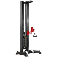 Nouvelle Machine Commerciale de Pulldown Latéral Améliorée, en Acier Robuste, avec Pile de Poids de 70 kg, Cage de Musculation et 16 Niveaux de Hauteur Réglables pour le Fitness