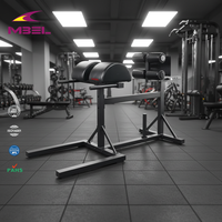 Banc de musculation professionnel pour exercices de fessiers et ischio-jambiers (GHR)