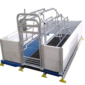 Nuova Attrezzatura per Allevamento Suini, Gabbia da Parto per Scrofe con Telaio in Acciaio Zincato Tipo H, in Fibra di Vetro e Filo d'Acciaio, Certificata ISO 9001 - Product Image 5