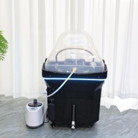 Équipement de salon de luxe : Bac de lavage de cheveux mobile et portable avec réservoir d'eau, sans plomberie, pour spa capillaire