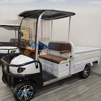 Fourgon électrique cargo Mini camion cargo Camion électrique utilitaire Mini camionnette électrique à vendre