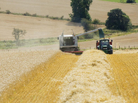 Moissonneuse-batteuse haute performance RG25 avec coupeuse et hacheuse larges pour une productivité accrue et un temps de champ réduit