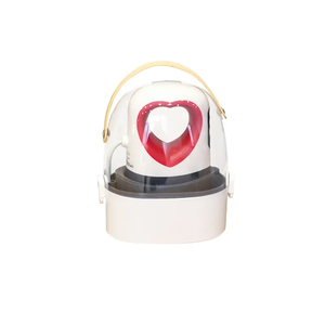 Mini Heat Press Machine , Small Heat Press Machine Hand-held Sublimation Heat Press Equipment/Mini Iron