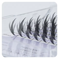 ANNAFRIS Votre Marque Naturel Manga Faux Cils Greffage Premade Fans Comic Spire Plume En Forme De Cils Extension