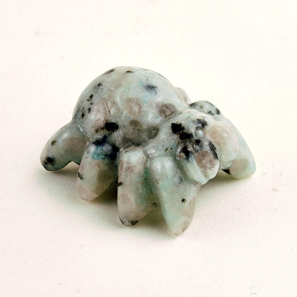 Kiwi stone spider