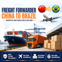 Fret maritime FBA DDP de Chine vers l'Italie, transitaire pour marchandises commerciales avec dédouanement, livraison porte-à-porte aux États-Unis