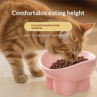 Gamelle inclinée en céramique pour animaux de compagnie, 15 degrés, anti-encrassement, large rebord, anti-déversement, pour chats et chiens, pour une alimentation confortable en intérieur