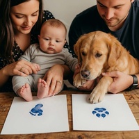 Kit de 3 empreintes de pieds de bébé sans encre, kit d'empreintes de mains et de pieds de bébé avec cartes de jalons de développement, souvenir de croissance du nouveau-né, cadeau de naissance
