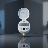 Compteur d'eau ultrasonique résidentiel certifié UWR MID LoRaWAN DN15 Multi Jet Lecture à distance Protection IP68 Durée de vie de la batterie de 12 ans