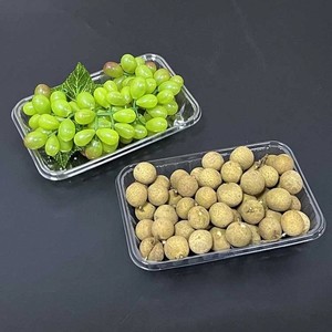 Hộp đựng thực phẩm PET dùng một lần trong suốt không nắp, bao bì nhựa trong suốt dùng để đựng trái cây, rau củ, thịt - Product Image 4
