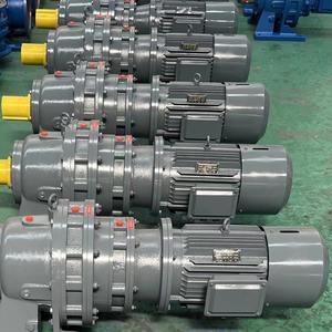 Nous fournissons des réducteurs cycloïdaux horizontaux en tandem de la série BWED/XWED, pièces de moteur de machines cycloïdales à deux étages - Product Image 1