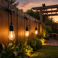 Guirlandes lumineuses LED certifiées SAA RCM, extérieur, IP65, étanches, commande intelligente par application, lumières de jardin, 12V, basse tension, prise AU