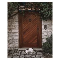 Porte en bois à demi-verre de conception simple Ace, portes principales en teck, images de modèles, vente en gros en Chine, serrure à mortaise pour portes en bois