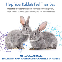 Additifs alimentaires pour lapins, booster de croissance, promoteur de croissance rapide, vitamines, prise de poids, nourriture pour lapins pour une croissance rapide