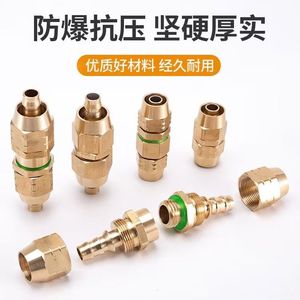 Kyushu Garden <b>Spray</b> Tube Connector For Pump High Pressure Agricultural Use Pure Copper Safe Farm Sprayer Accessory - Product Image 2