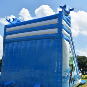 Tobogán acuático inflable infinity <span class=keywords><strong>deluxe</strong></span>, temática de princesa comercial - Product Image 3