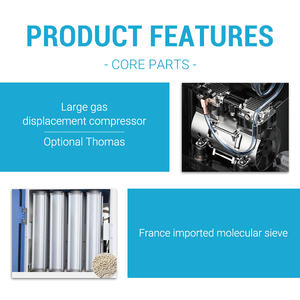 Aerti Industriële 20l Zuurstofconcentrator Oem 20 <span class=keywords><strong>Lpm</strong></span> Zuurstofgenerator Voor Visteelt - Product Image 2