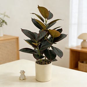 ต้นยางพาราบอนไซประดับตกแต่งภายในอาคาร ต้นไม้จำลอง ใบไม้จำลอง - Product Image 3