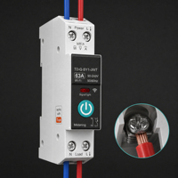 Interrupteur intelligent WiFi sur rail DIN 1P+N 63A avec compteur d'énergie kWh 90-240V, compatible Tuya Smart Life, Alexa, contrôle à distance par minuterie, 18mm, 1 module, CE, rouge