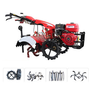 Artisan — roue de jardin rotative <span class=keywords><strong>mantis</strong></span>, jouet éducatif, européen - Product Image 2