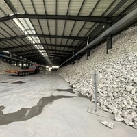Forsman 1250 Fibre de Wollastonite Aciculaire en Maille, Revêtement de Peinture Ignifuge Premium, Micropoudre de Silice 99,9% SiO2 pour l'Industrie du Verre