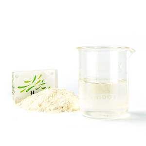 85% 95% UV <span class=keywords><strong>Fucoidan</strong></span> Food Grade Herbal Extrato Em Pó Branco De <span class=keywords><strong>Natural</strong></span> Kelp Algas Suplementos de Saúde em Drum Embalagem - Product Image 3