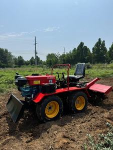 Mini tracteur agricole <span class=keywords><strong>de</strong></span> 15 CV à vendre, tracteur à 2 roues motrices avec outil <span class=keywords><strong>de</strong></span> travail du sol rotatif pour l'agriculture à petite échelle - Product Image 3