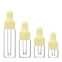 Flacon compte-gouttes en verre transparent vide avec bouchon de couleur pastel pour emballage cosmétique et soins de la peau – Vente en gros