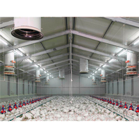 Gallinero Automático para 10000 Pollos