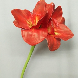 Z265 Hoa <span class=keywords><strong>Clivia</strong></span> Nhân Tạo Chất Lượng Cao Bán Chạy Hoa <span class=keywords><strong>Clivia</strong></span> Nhân Tạo Để Trang Trí Nhà Cửa Tiệc - Product Image 2