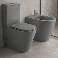 Ensemble WC monobloc et bidet sur pied, en céramique vitreuse sanitaire, finition doré mat, avec réservoir à double chasse.