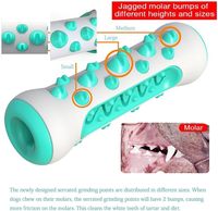 Jouets à mâcher pour animaux de compagnie en matériau sûr et non toxique, bâton à mâcher dentaire pour chiens agressifs, jouet aquatique pour chiens
