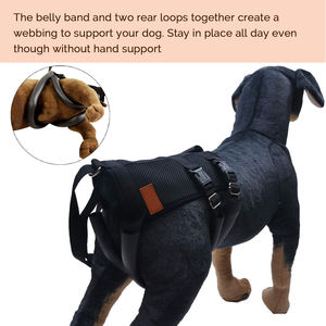 สายรัดพยุงหลังสำหรับสัตว์เลี้ยง,เสื้อช่วยยกสุนัขขาหลังพร้อมพยุงหลังเสื้อกั๊กพยุงหน้าอกมือจับแบบนุ่ม - Product Image 4