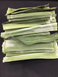 Daun <span class=keywords><strong>Pandan</strong></span> Beku Kering dari Pedesaan, Daun <span class=keywords><strong>Pandan</strong></span> Alami dan Murni untuk Kue dan Makanan Penutup - Product Image 2