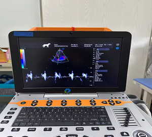 EUR VET Scanner à ultrasons numérique <span class=keywords><strong>3D</strong></span> complet, Doppler couleur numérique, équipement vétérinaire, système d'échographie vétérinaire portable - Product Image 3