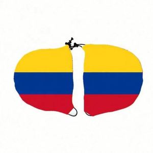 Promoción: Banderas para Espejos Retrovisores de Auto, 100% Poliéster, con Diseño de Bandera Nacional - Product Image 3